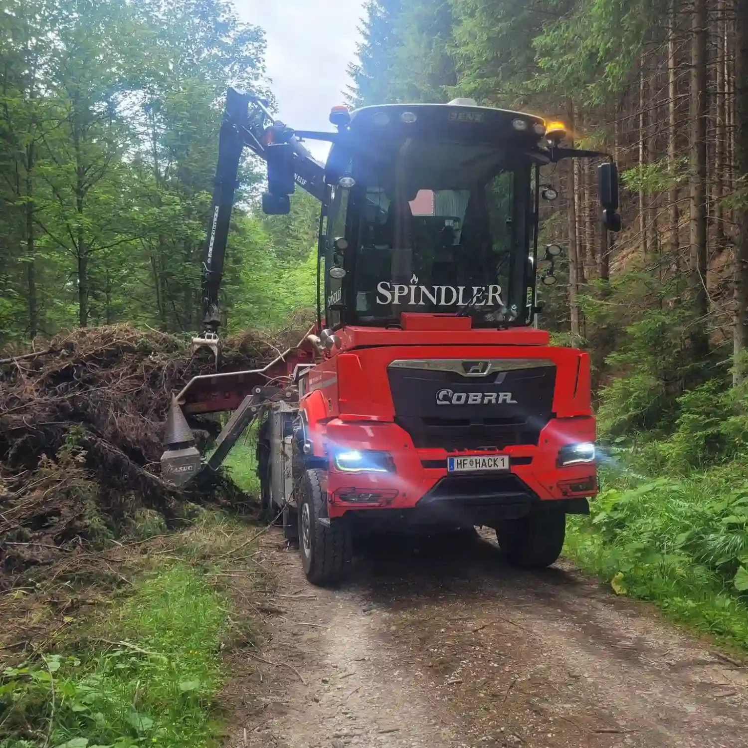 15e0282d-b4d9-4292-9302-c4c8dadb8cc9