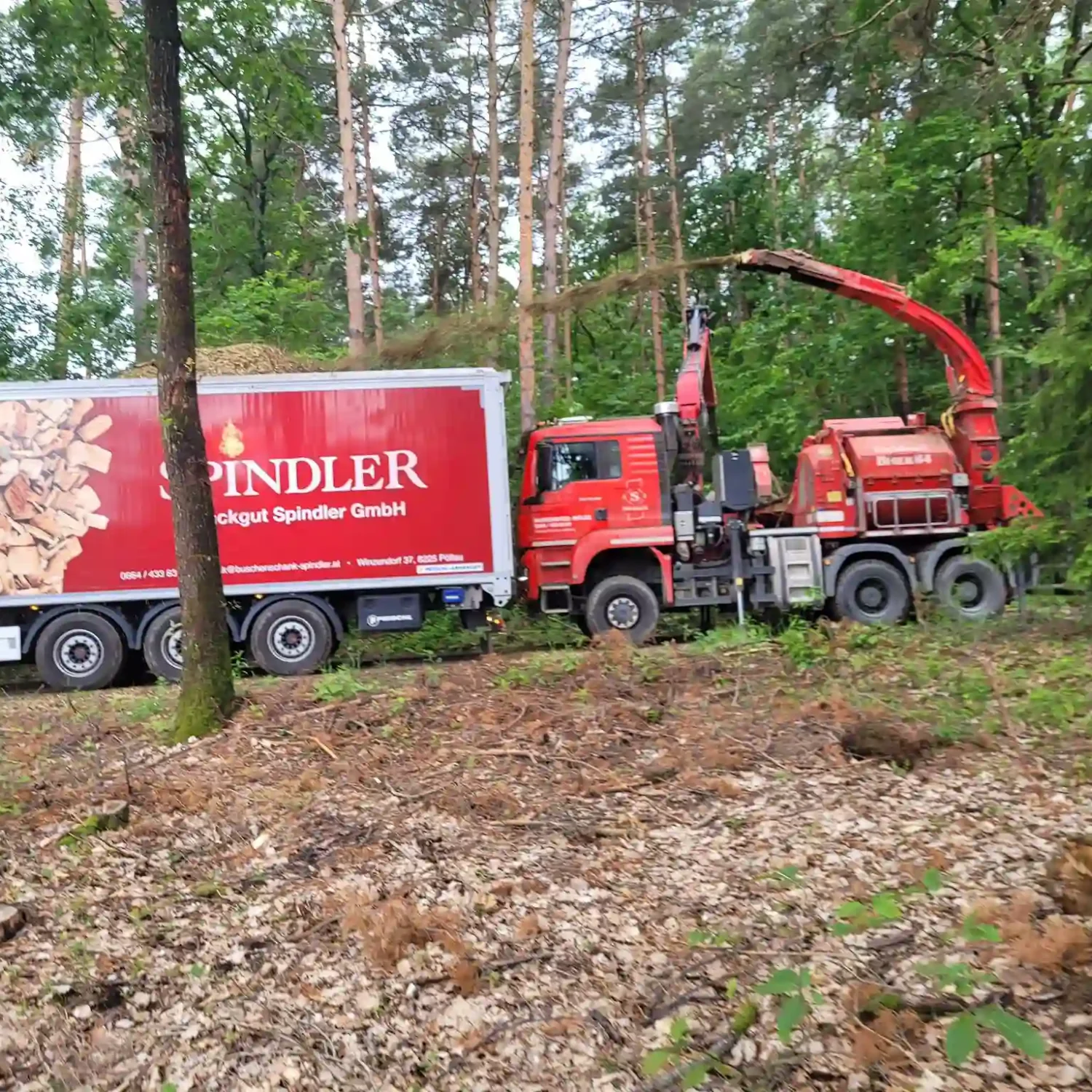 4e87a26b-0a30-418c-abfb-d616a476450d